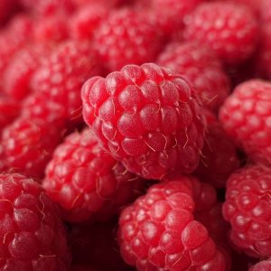 sSBabk-raspberries-1024x700_2.jpg