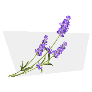 linalool-500.png