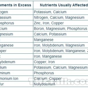 Nutrient-Lockout-Chart-from-Excess-Nutrients.jpg