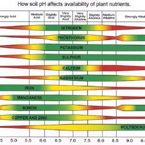 ph-nutrient-chart.jpg