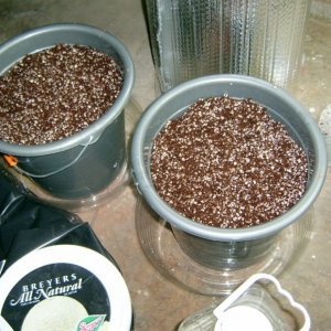 coco perlite hempy