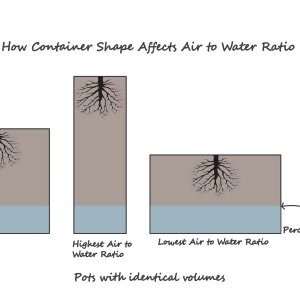 pot+shape+perched+water+table+saturation+level.jpg