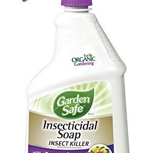 Garden-Safe-Insecticidal-Soap.jpg