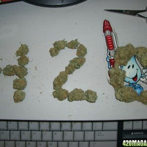 Blue Dream 420 !!!