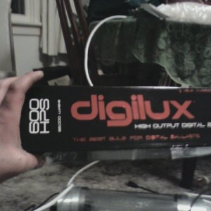 digilux