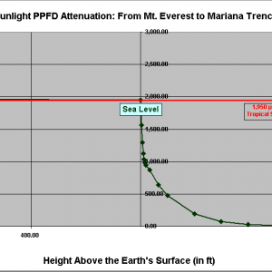 Sunlight PPFD Attenuation: Near Surface