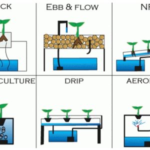 Types-of-Hydroponic-Systems.jpg