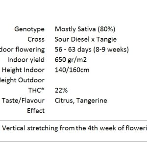 SourTangie_Specs.jpg