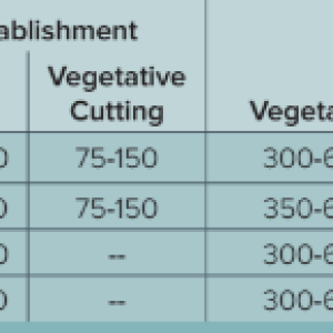 StageIntensity.png