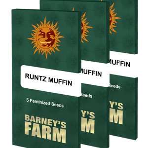 runtz-muffin_packet_large_seeds.jpg