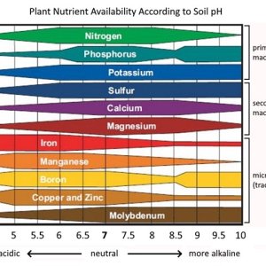 nutrientavailabilitysoilphchartdetailed.jpg