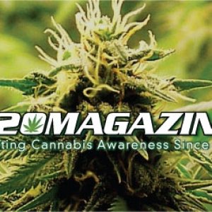 420magazinebanner008.jpg