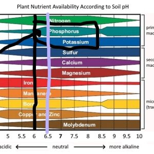 Inkednutrientavailabilitysoilphchartdetailed (1)_LI.jpg