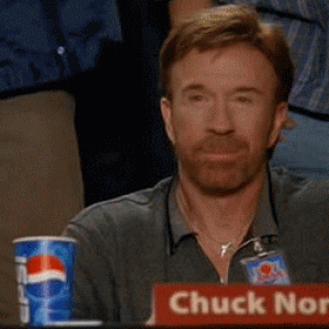 1237811519_chuck-norris-approves.gif