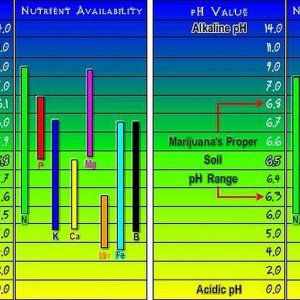 ph chart.jpg