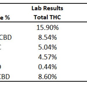 Lab Test Summary.jpg