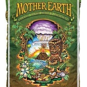 motherearth.jpg