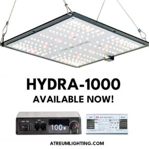 HYDRA1000B (L).jpg