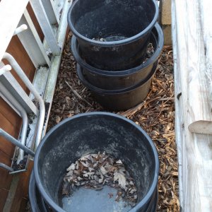 compost-pots.jpg