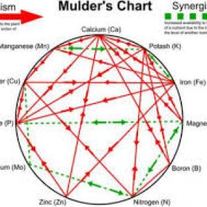 mulders chart.jpg