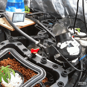 20210412_110111.gif