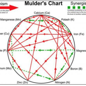 mulders chart.png