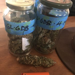 04 16 2021 GLGDB Cure Jars.jpg