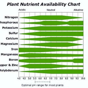 Nutrient Availability Science in Hydroponics.jpg