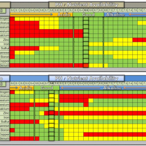 Someone's Nutrient Chart.png