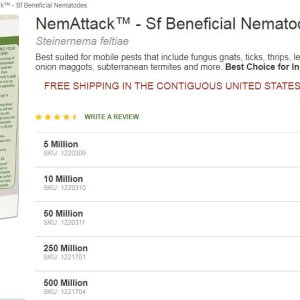 Beneficia⁮l Nematodes.JPG