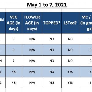 Photo 1 - Weekly Plant Info.jpg