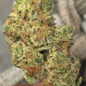 Hippie Crasher from dispensary at 32.4%.jpg