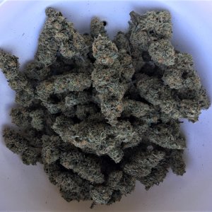 Final trimmed primo buds 2 ounces CJ 1 and CJ 2.jpg