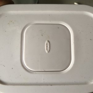 Lid of container.jpg