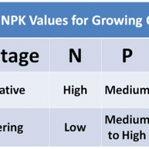 best-npk-ratio-cannabis-nutrients.png