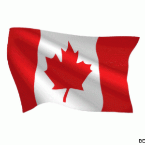 1646124428canadian-flag-animated-gif-79-l.gif