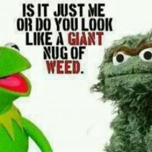 Oscar the Nug of Weed.jpg