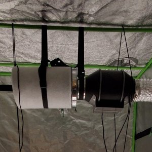 grow-tent-fan-1024x674.jpg