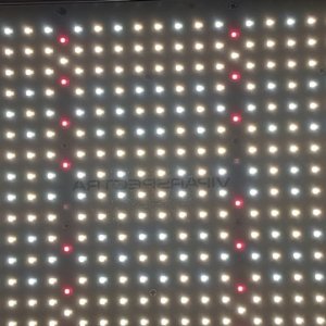 Viparspectra XS2000 LED Grow Light panel - Copy.jpg