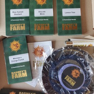 Barney's Farm seeds.jpg