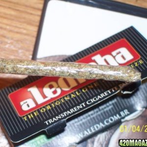 aLedinha transparent paper doobie