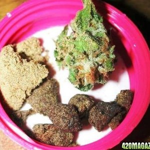 hash-n-bud