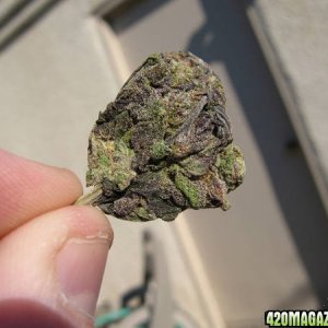 Purple Nugs By seanislegend