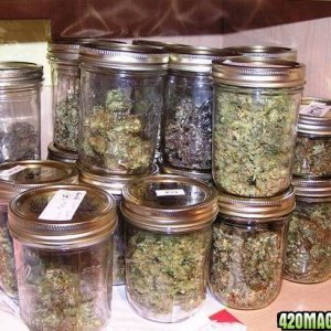 Jars-n-Jars