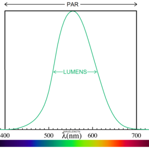 Luemsn_PAR_784a3e07-10cb-4c16-8feb-621fe106e118_grande.png