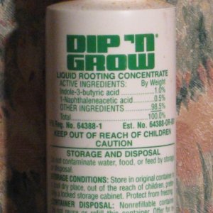 Dip-n-Grow.JPG