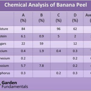 Banana-peel-chem-analysis.jpg