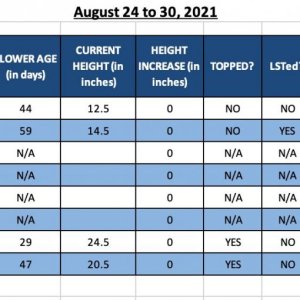 Photo 1 - 420 Autoflower Info.jpg