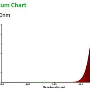 31cm-rdWobL._AC_.jpg