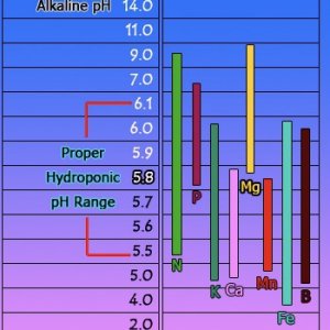 55A0FCD9-5DCC-4781-A7AC-504AB12A236A.jpeg